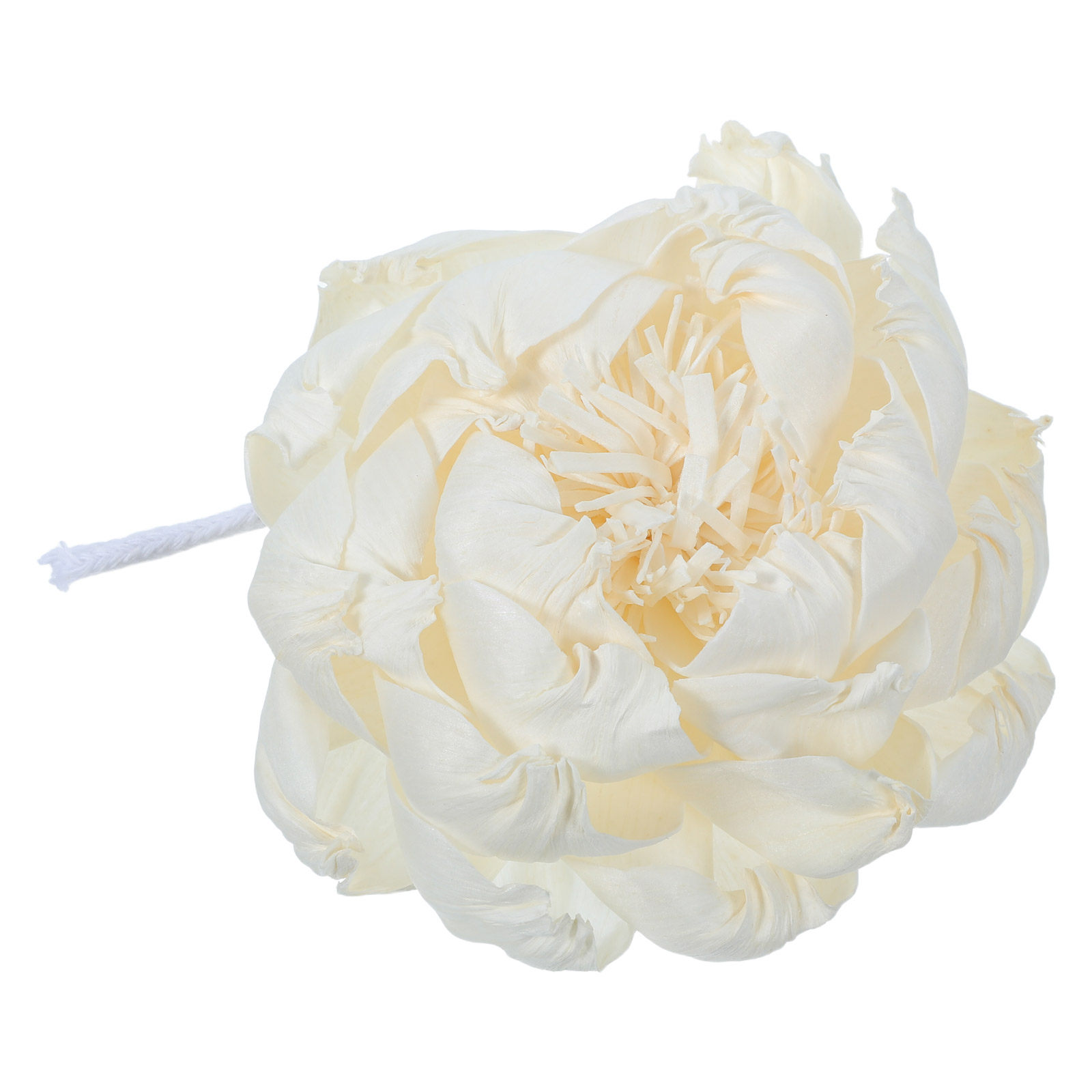 Diffusore di Fragranza a Forma - Home Decor Essentials recensione e prezzo