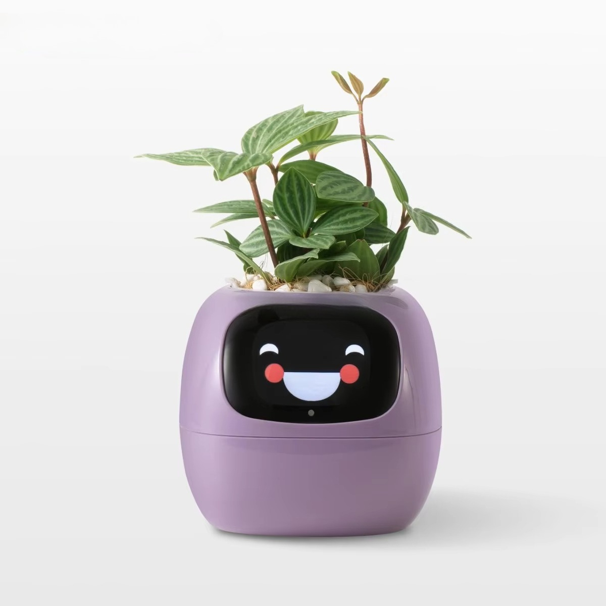 YY Wifi Ai Planter: Promemoria - Home Decor Ai Free recensione e prezzo