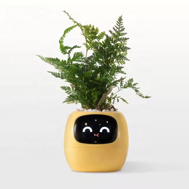 YY Wifi Ai Planter: Promemoria - Home Decor Ai Free recensione e prezzo