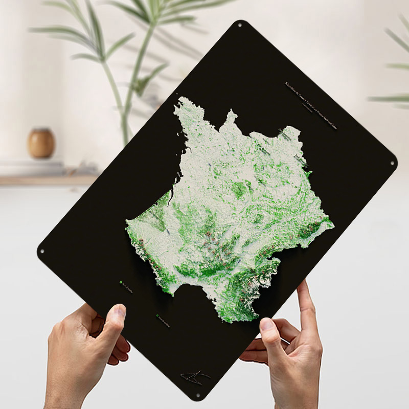 Massifs Forestiers Fran? ?ais  - Home Decor Ai Free recensione e prezzo